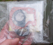 Johnson Seahorse BJ4BRCCS 4hp