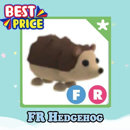 Hedgehog pet new - new, hot