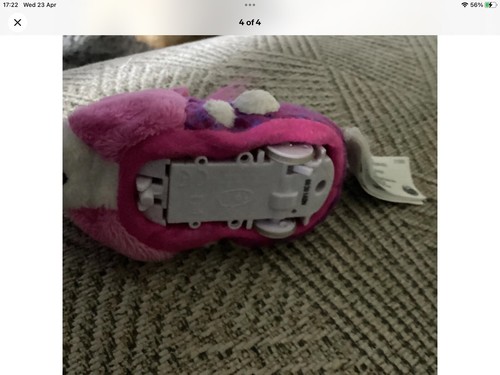 Zhu pets hamsters sophie - pets,