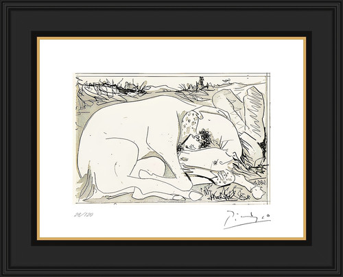 Picasso suenos mentiras de - picasso,, y
