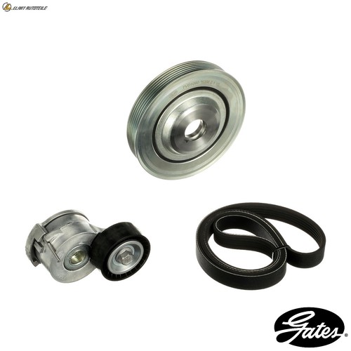 Ribbed belt kit k026pk1245 - belt,
