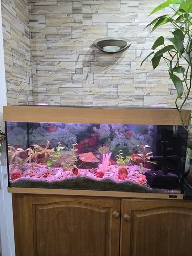 Juwel fish tank - juwel,