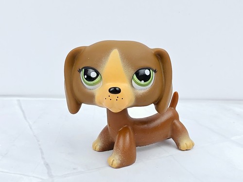 Dachshund dog 172 - #g7, #172
