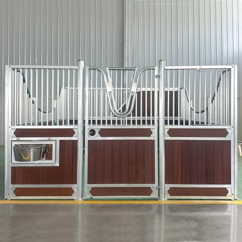 Horse internal stable fronts - horse,