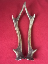 PAIR OF SIKA DEER ANTLERS 194g.   aprox.28 /28,5cm.