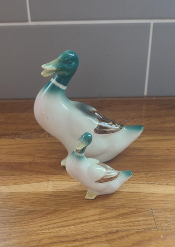 Vintage laughing mallard - laughing,