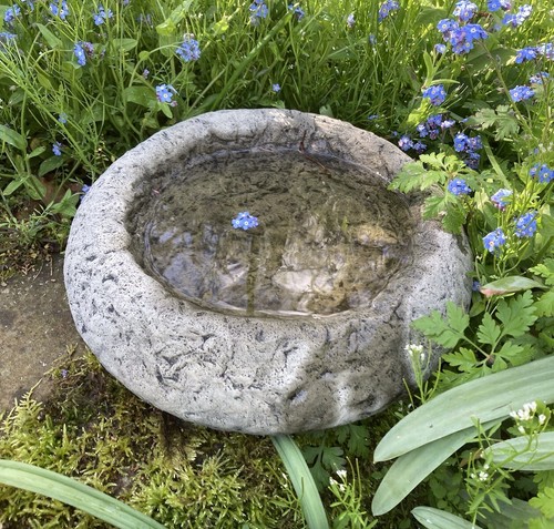 Stone garden small rustic - garden,