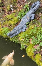 70CM Long Concrete Crocodile