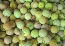 30 USED TENNIS BALLS FOR DOGS