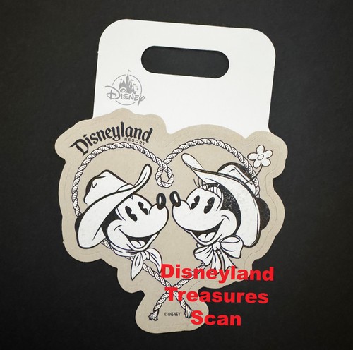 Disneyland souvenir decal - disneyland,