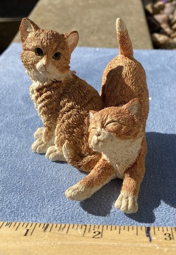 Country artists kittens - country,