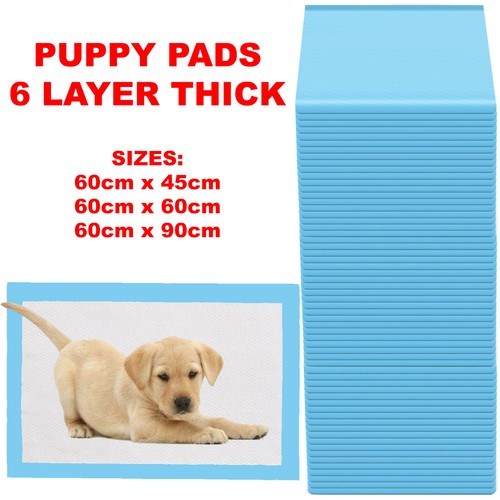 Heavy duty large - large, pet