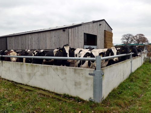 Photo 6x4 congestion - photo, at