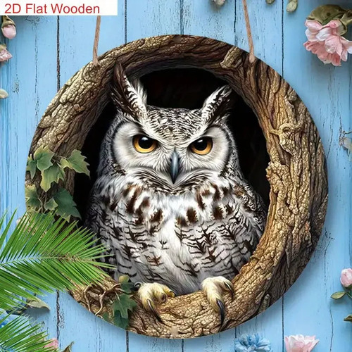 Cute owl plaque - plaque, hanging