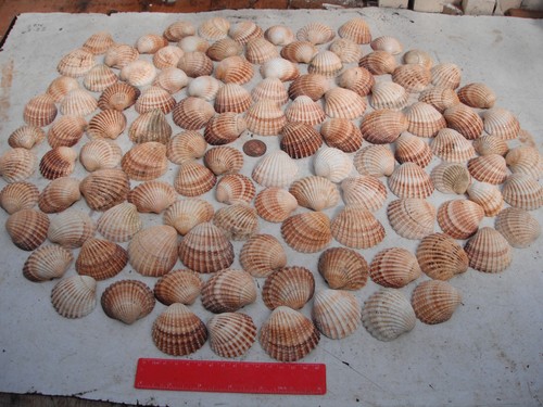 Job lot 100 - lot, of