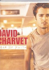 David Charvet - Leap Of Faith - French Promo 12" Vinyl - 2001 - Mercury