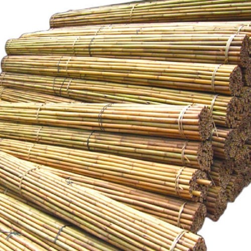6ft bamboo canes - bamboo, thick