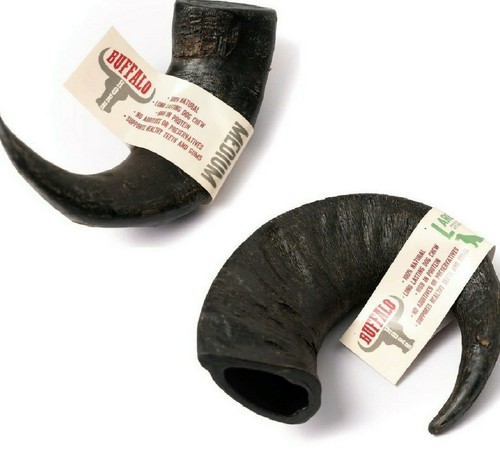 Buffalo horn - -, /