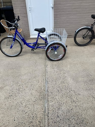 Blue metal adult tricycle - blue,