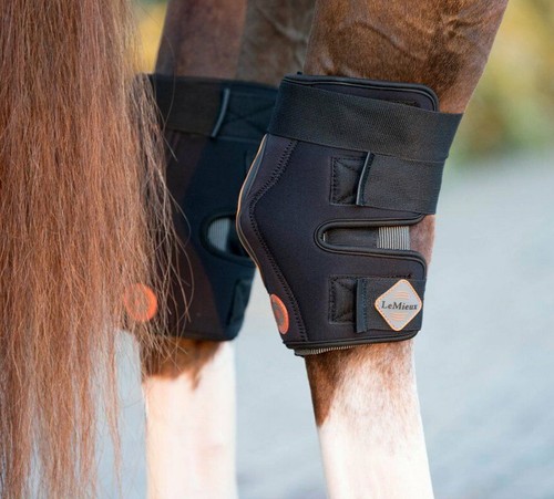 Lemieux conductive magno - lemieux,