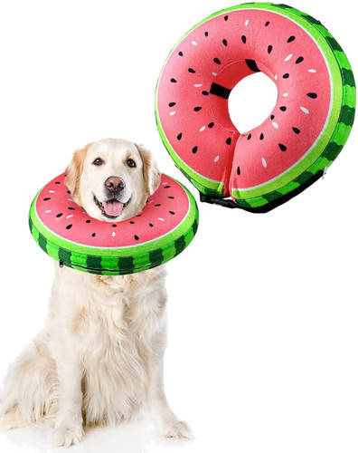 Inflatable dog collar - inflatable, buster
