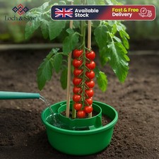 Garden Tomato Plant Halo Grow