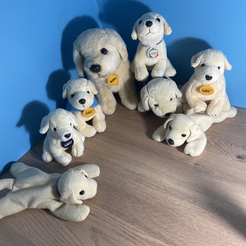 Bundle golden labrador - bundle,