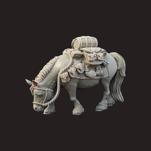 Bill the pony alternative - the,