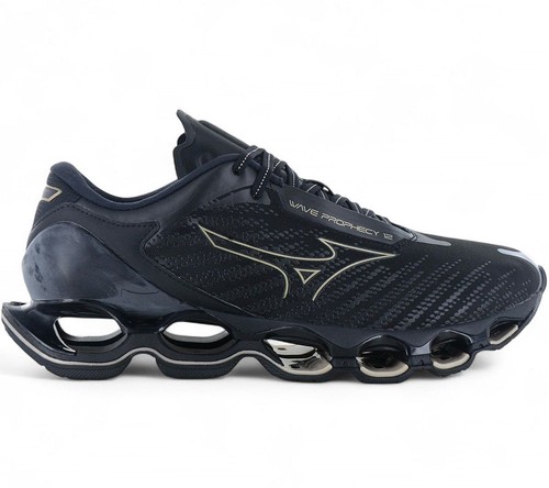 Mizuno wave prophecy - prophecy, 12