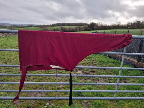 Snuggy hoods turnout - turnout, hood