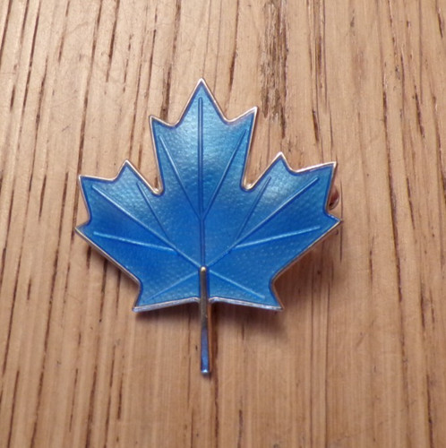 Sterling silver blue enamel - silver,