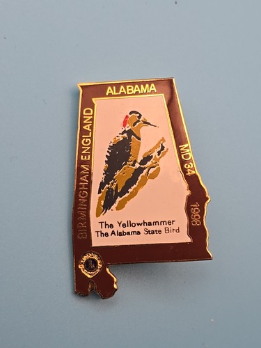 Pin badge lions club - lions,