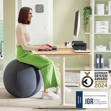 Leitz Ergo Active Sitting Ball