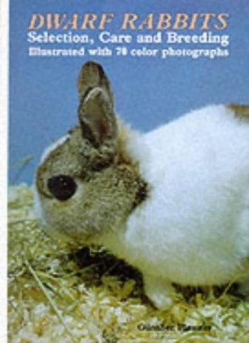 Dwarf rabbits gunter - rabbits,gunter, flauhaus