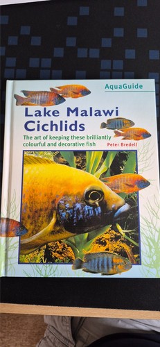 Lake malawi cichlids - malawi,