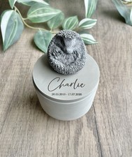 Personalised Hedgehog Urn /
