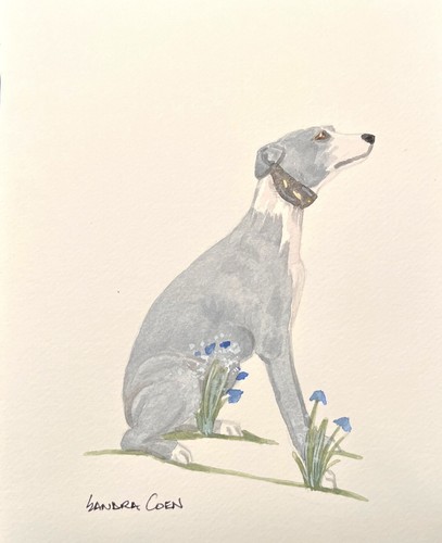Whippet original watercolor - whippet,