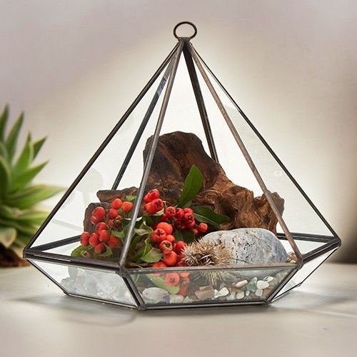 Glass terrarium large - glass,