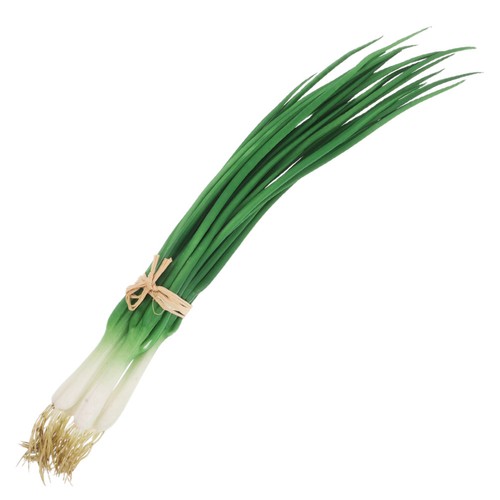Lifelike reusable artificial - lifelike,