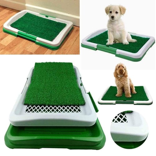 Pet dog toilet mat - mat, large