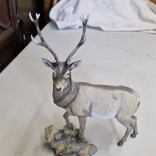 Country artists red deer stag - artists,