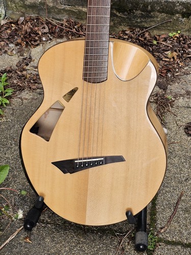 Avian skylark electro - skylark,