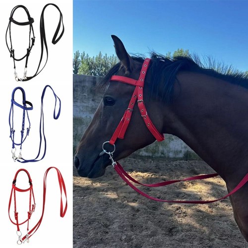 Horse bridle with reins - bridle,