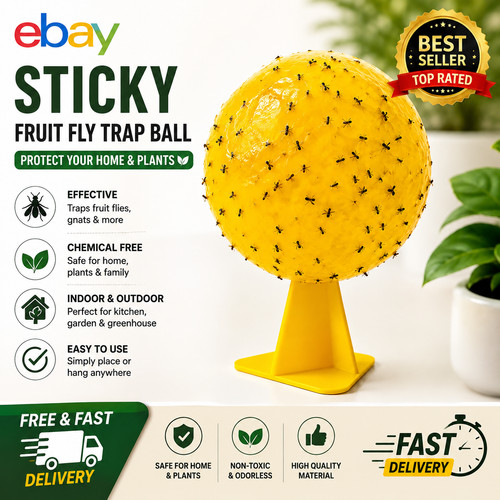 Fruit fly balls ball - fruit,