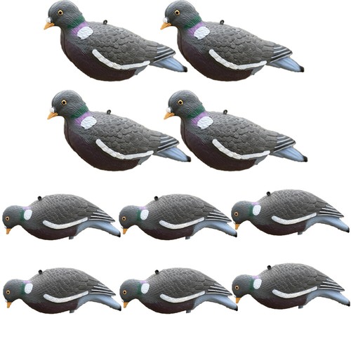 High definition pigeon decoy - pigeon,