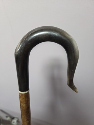 Buffalo horn shepherds - horn, crook