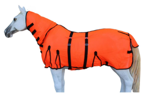 Orange horse fly - fly, full