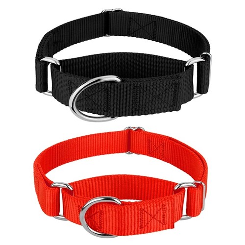 Adjustable martingale dog - adjustable,