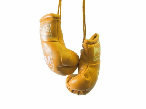 Ringmaster mini boxing - ringmaster,