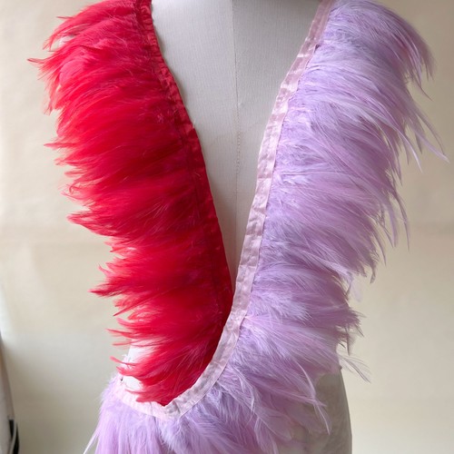 Rooster feathers coque - coque, feather